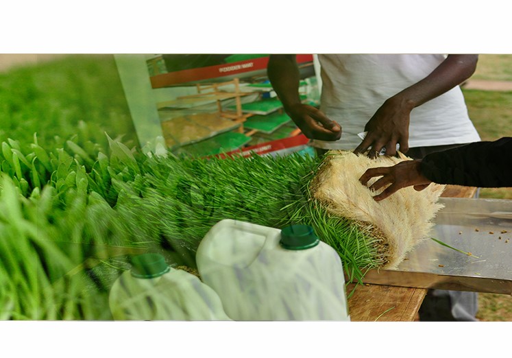 The Climate Innovation Center in Ghana