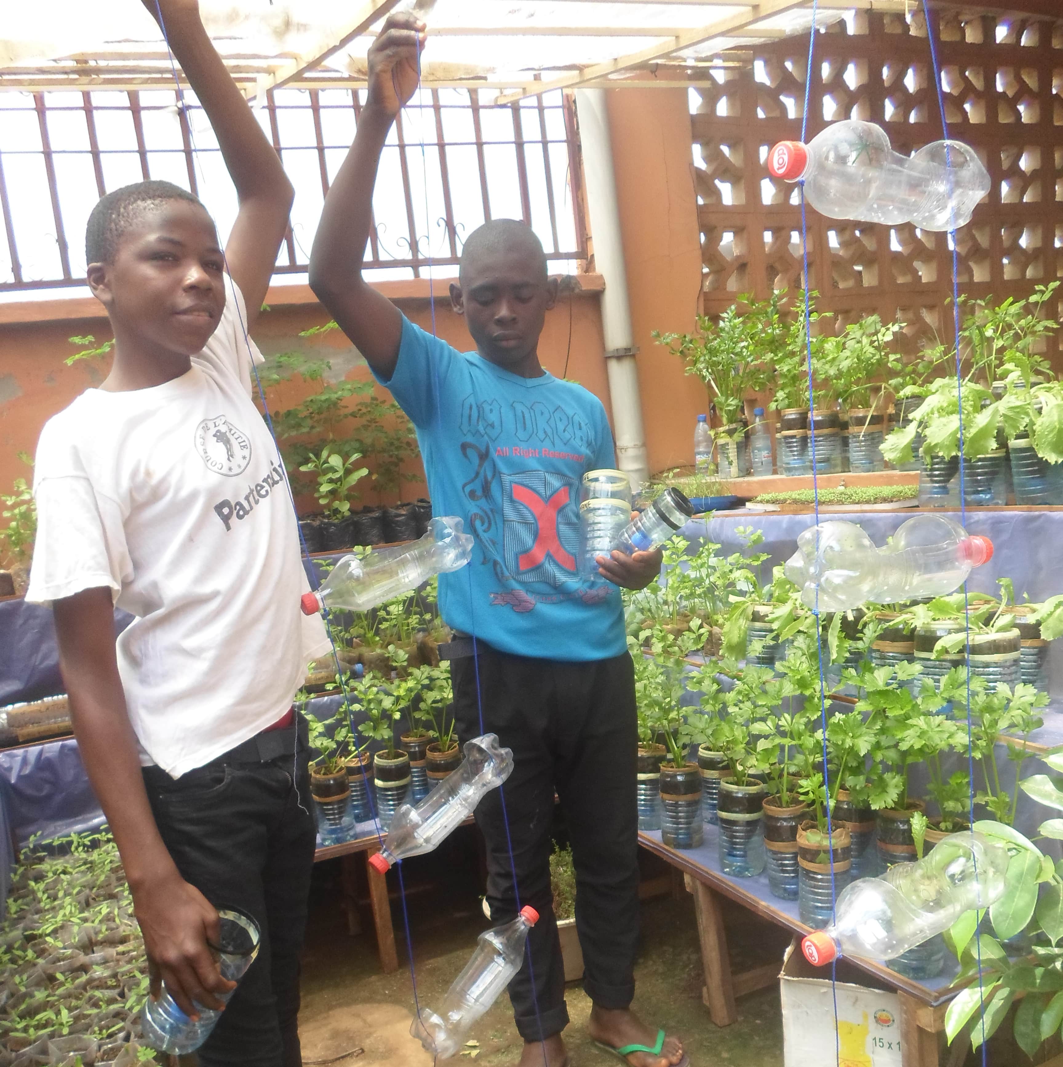 Plastic bottles upcycled for urban farming purposes