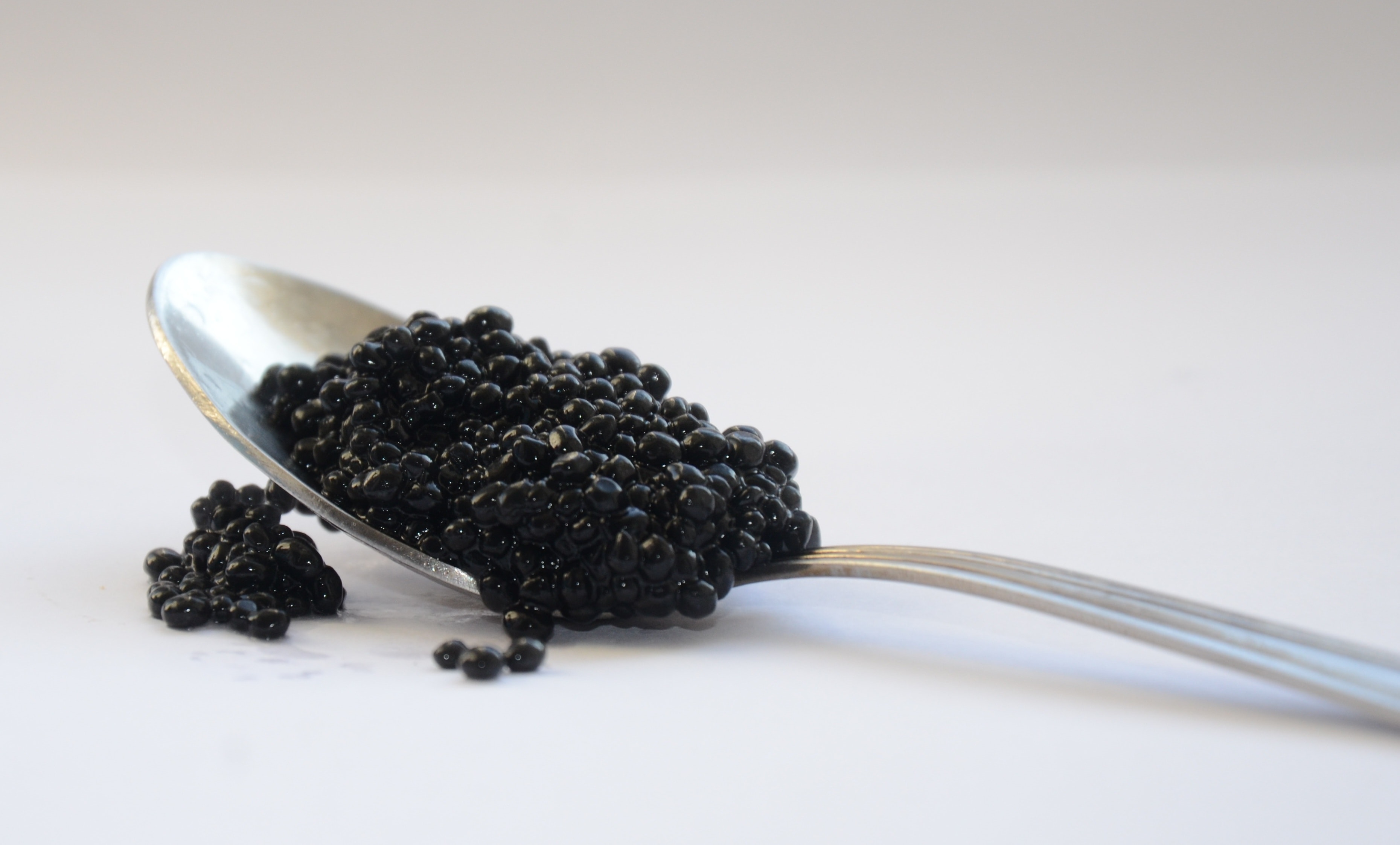 Calvisius Caviar